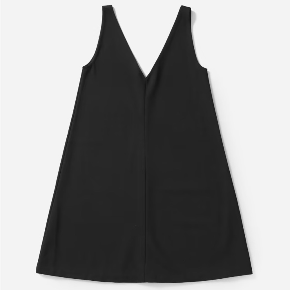 Everlane Black Mini V‑Neck Shift Dress